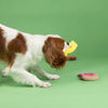 Petshop by Fringe Studio dog toys Easter Holey Donuts Spring Plush Squeak Small Dog Toy Set - 3 Pc