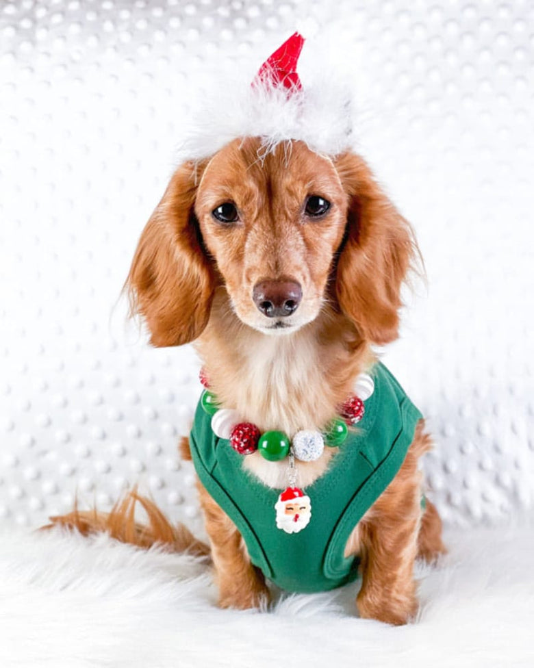 Parisian Pet® Tee's Dear Santa, Define Good Green Christmas Holiday Embroidered Dog T-Shirt