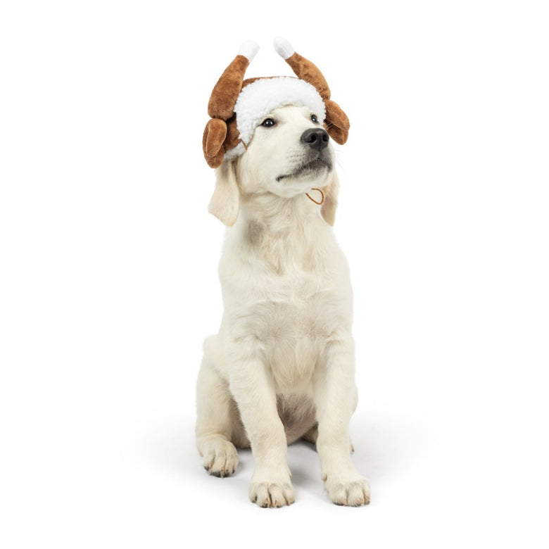 Turkey Tester Holiday Season Dog Hat
