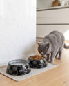 Black Checker Chewy Stylish Pet Bowl - Size Medium