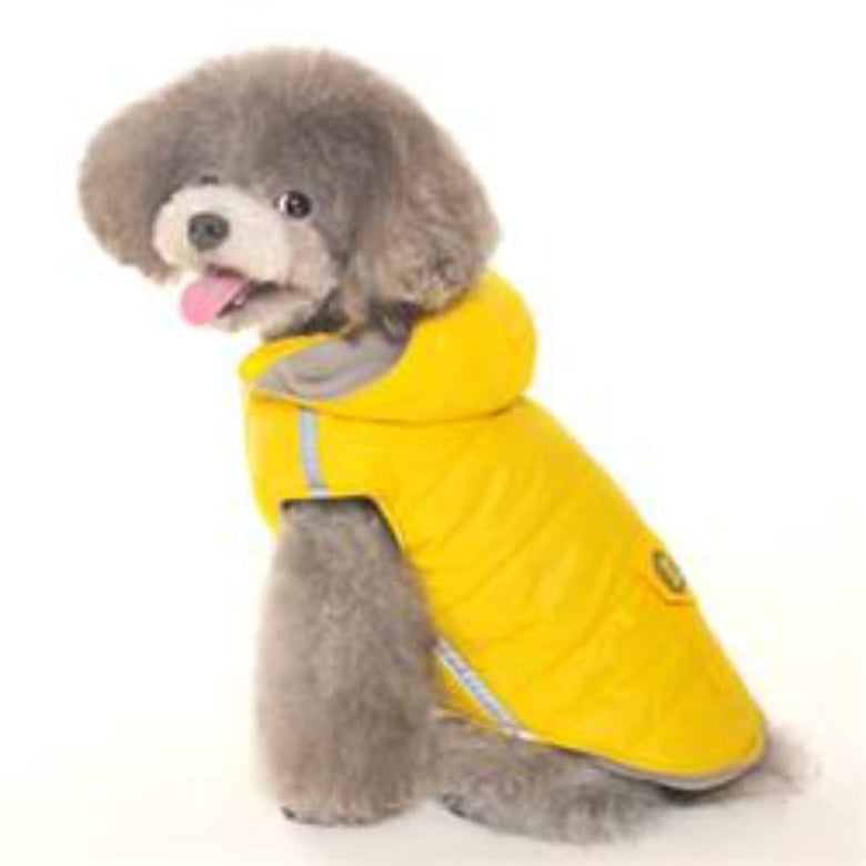 Dogo Pet Fashions Jackets XL / Ylw Dashing Hooded Dog Parka