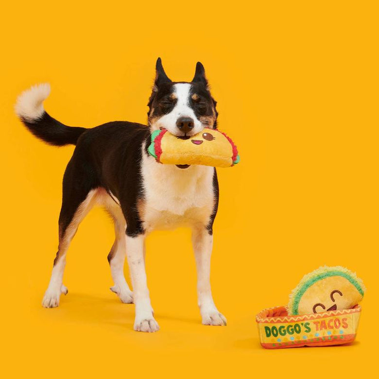 BARK dog toys Doggos Tacos Plush Dog Toy Set - 3 Pc