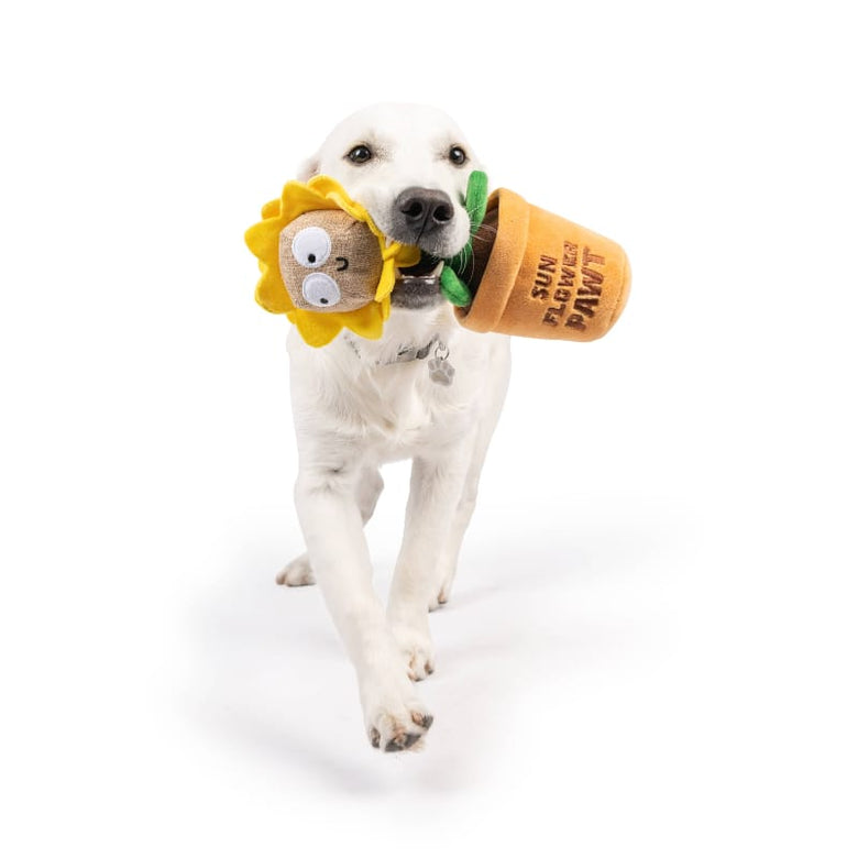 Huxley & Kent dog toys Seek 'n Treat Sunflower Pawt Plush Treat Interactive Dog Toy