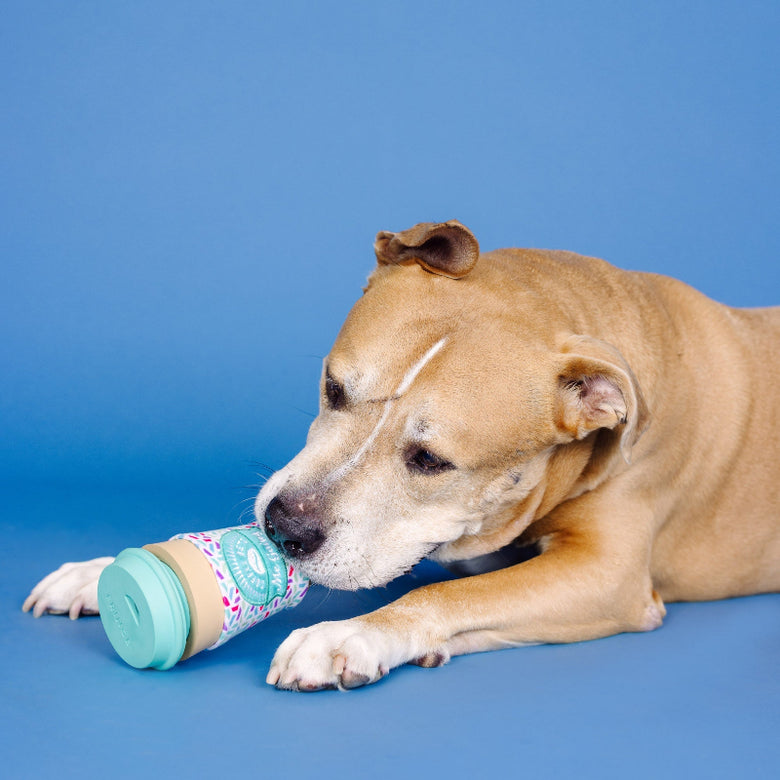 Coffee Gets Me Going Rubber/Plush Treat Interactive Dog Toy