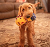 Thoozy dog toys #1 PUP Trophy Rope Tug Plush Squeaky Dog Toy - 9"