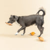 Pet Shop by Fringe Studio dog toys We Came We Saur Canvas Squeaky Mini Dog Toy Set - 3pc