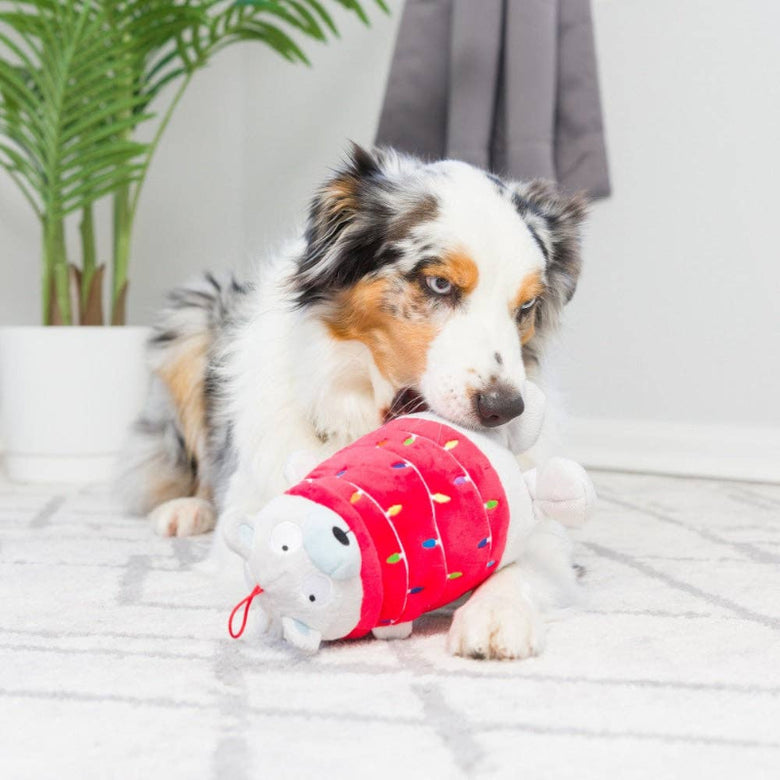 Deck The Bear Christmas Holiday Plush Squeaky Dog Toy- 2 Sizes