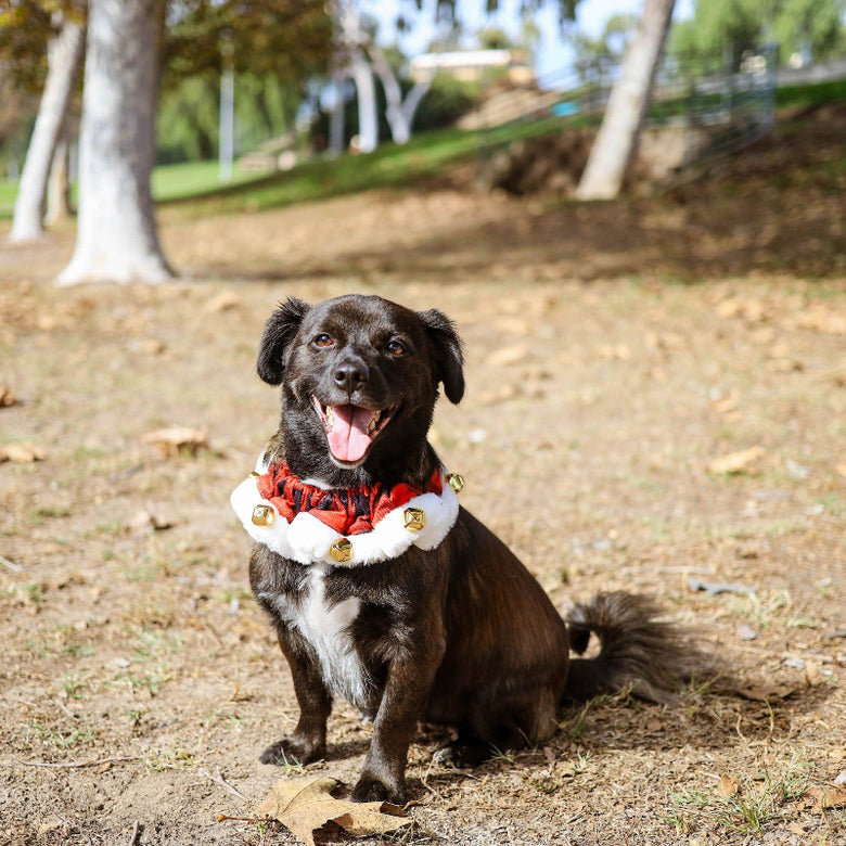 Buffalo Check Holiday Red Ruff with Jingle Bells for Pets