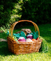 Radish Crinkle Crops Leafy Plush Squeaky Crinkle Dog Toy