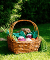 ZippyPaws dog toys Radish Crinkle Crops Leafy Plush Squeaky Crinkle Dog Toy