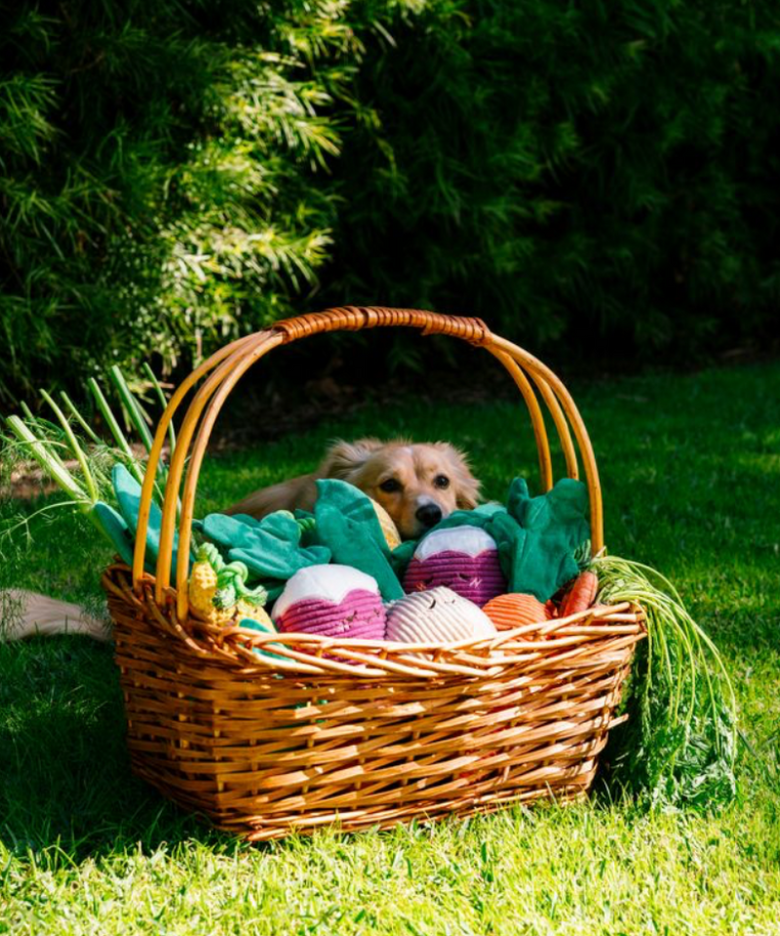 Radish Crinkle Crops Leafy Plush Squeaky Crinkle Dog Toy