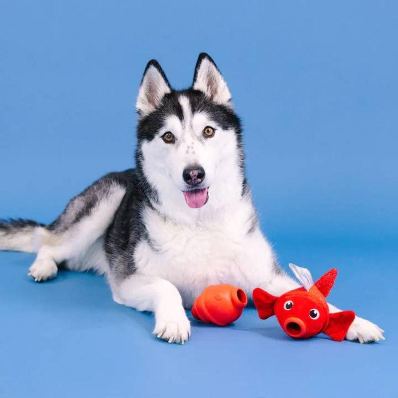 PetShop by Fringe Studio dog toys Reel Me In Red Fish Rubber & Plush Dog Toy