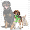 Tuffy Dog Toys - VIP Products dog toys Mighty Jr Liar Green Alien Plush Squeaky Dog Toy