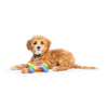 Huxley & Kent Dog Toys Tiny Tuff Equality Rainbow Plush Squeak Bone Dog Toy