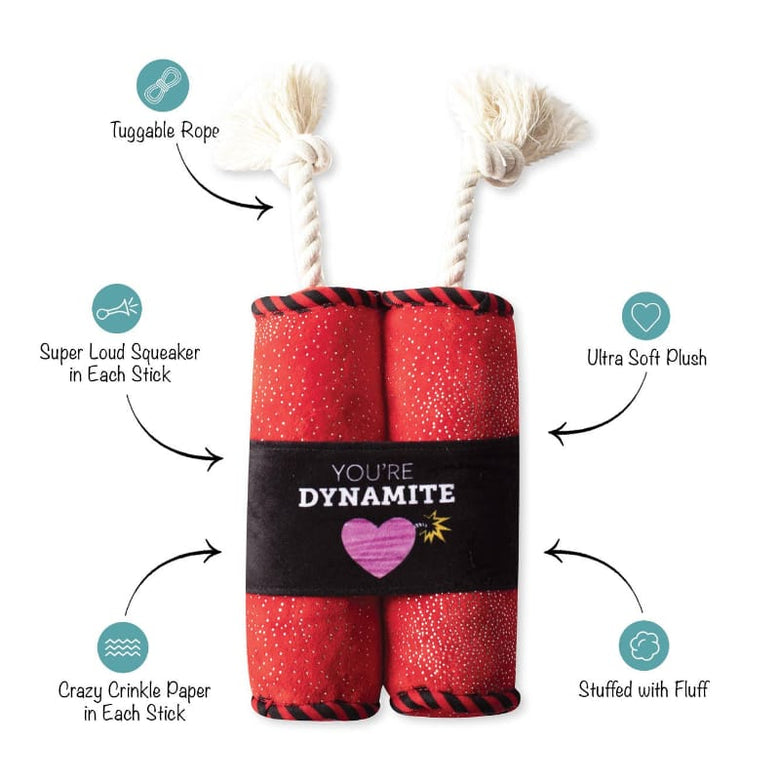 Pet Shop by Fringe Studio dog toys You're Dynamite Plush Squeak Dog Toy