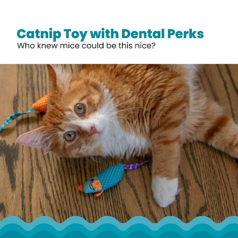Outward Hound Cat Toys Chew Mice Dental Health Cat Toy - 2pc