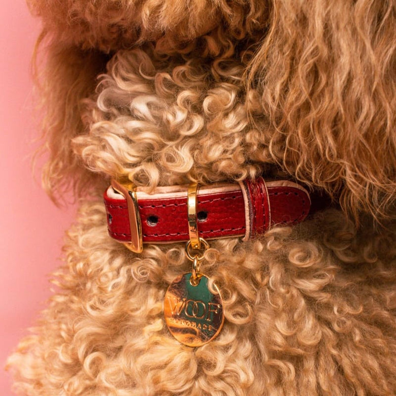 Neighborwoof COLLARS Strawberries and Wine Handcrafted Leather with Gold Hardware Dog Collar
