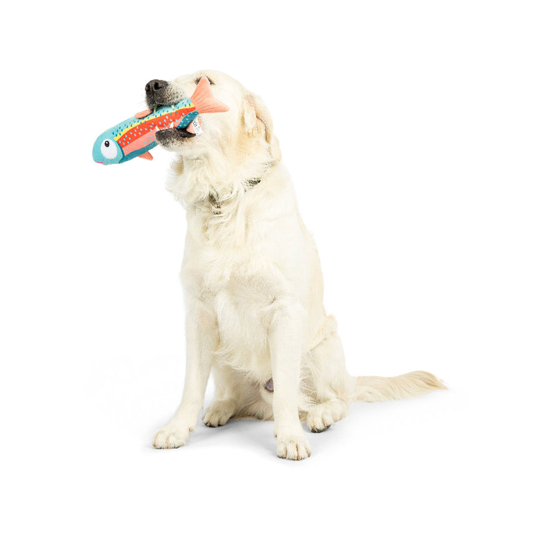 Huxley & Kent Huxley & Kent - Fetchies® Travis Trout Dog Toy: Small