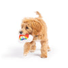Huxley & Kent Dog Toys Tiny Tuff Happy Rainbow Plush Squeak Dog Toy