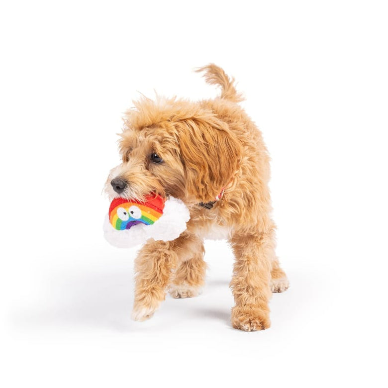 Huxley & Kent Dog Toys Tiny Tuff Happy Rainbow Plush Squeak Dog Toy