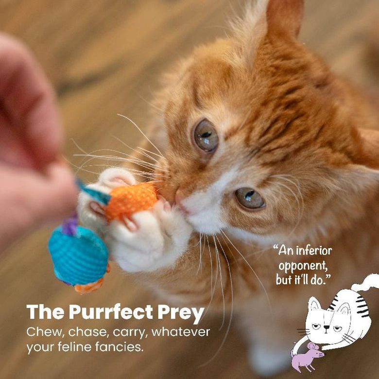 Outward Hound Cat Toys Chew Mice Dental Health Cat Toy - 2pc