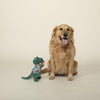 It's 5 O'Clock Somewhere Island Time Rex Plush Squeaky Dog Toy
