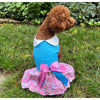 Doggie Design DRESSES Pink and Blue Plumeria Floral Dog Harness Dress w/ Matching Leash