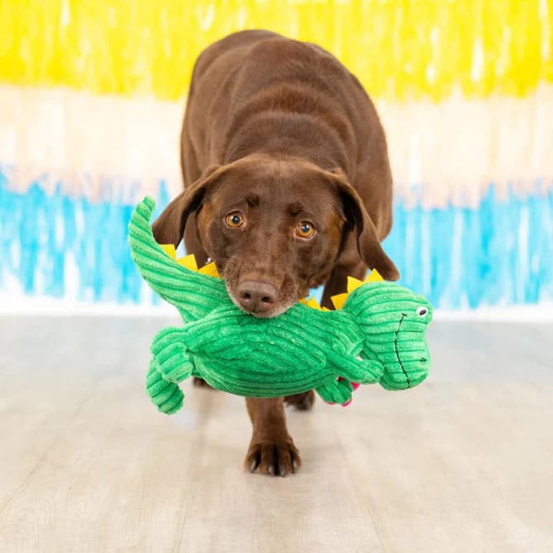 Pet Shop by Fringe Studio dog toys Thorny But Cute T Rex with Spring Flowers Plush Squeak Dog Toy