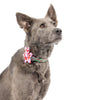 Huxley & Kent Bow Ties Kiss Kiss Lips Pinwheel Pet Collar Attachment - 2 Sizes