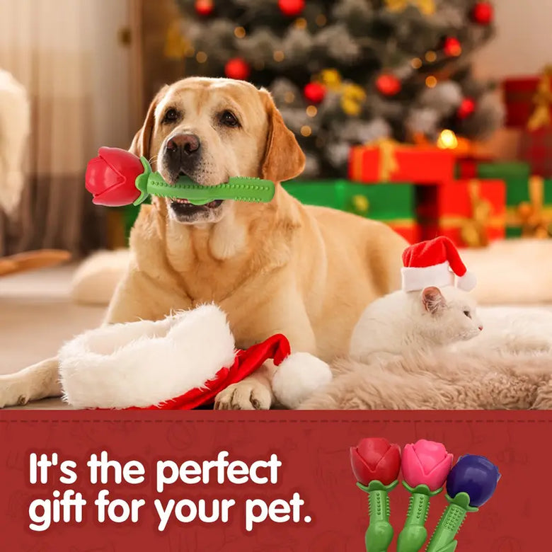 TM - YM PET dog toys Durable Rubber Red Rose Flower Squeaker Chew Dog Toy