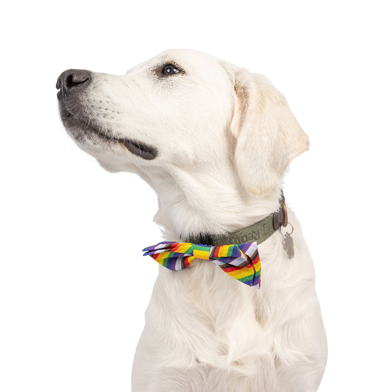 Huxley & Kent Huxley & Kent - All Together Bow Tie: Small