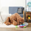 Hugsmart Products Inc dog toys Space Paws Aliens Interactive Plush Dog Toy Set - 4 Pc