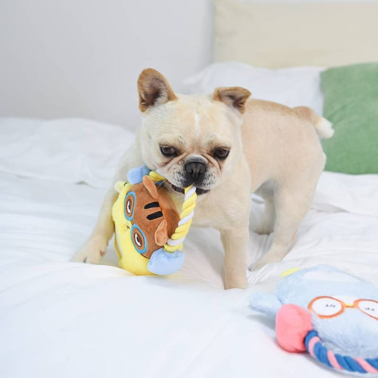 Hugsmart Products Inc Dog Toys Melody Bros Penguin Rope Plush Squeak Dog Toy