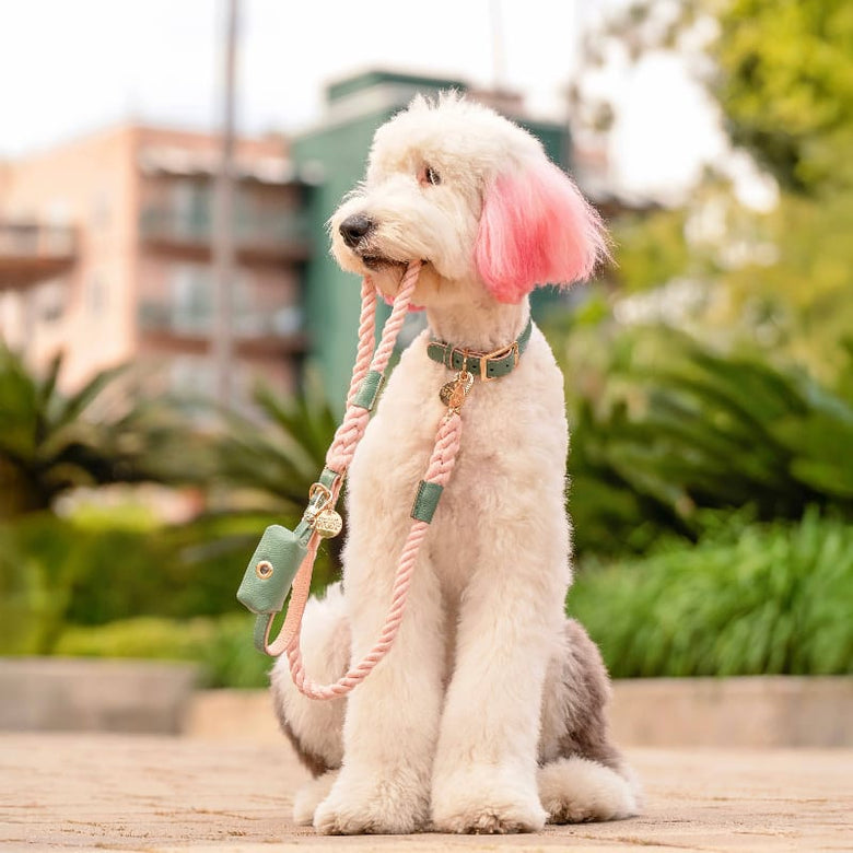 Neighborwoof Leashes Beverly Hills Rope Soft Pink & Green Handcrafted Leather Gold Hardware Dog Leash