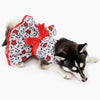 Holiday Holly Christmas Dog Harness Dress with Matching Leash