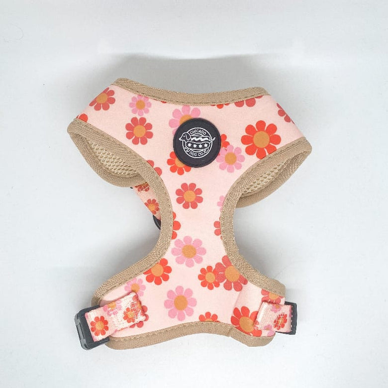 Chicago Dog Co. Pet Collars & Harnesses Flower Power Harness