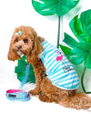 Parisian Pet® Tee's Pink Flamingos Tropical Paradise Blue Stripe Dog T-Shirt