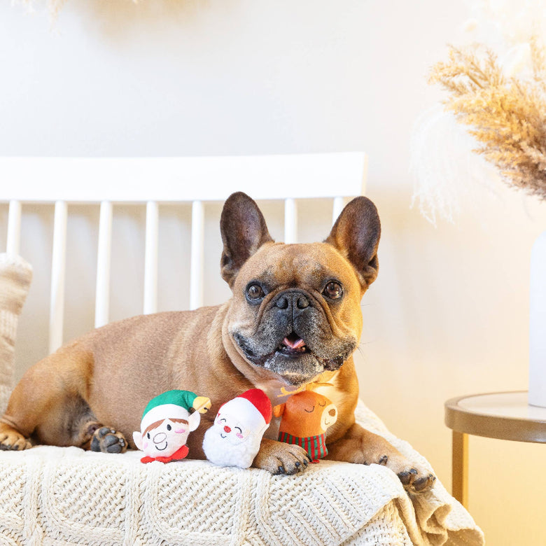 Christmas Never Sleigh Never Plush Squeaky Holiday Dog Toy Set - 3 Pc
