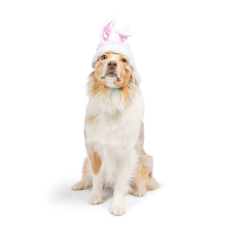 Huxley & Kent Hats Easter Bunny Ears with SnugFit Pet Hat