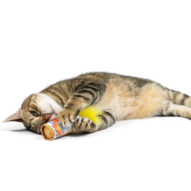 Huxley & Kent Cat Toys Fuzzy Soft Seltzer Rainbow Pride Cat Toy