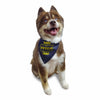 Barker's Bowtique Barker's Bowtique - May the Fetch be with You Dog Bandana - reversible: XS