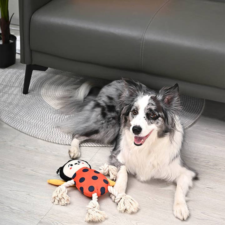 Puppy Garden Spring Ladybug Plush Squeaky Rope Tug Dog Toy