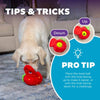 Outward Hound dog toys Fruity Findz Red Strawberry Interactive Ball Plush Dog Toy