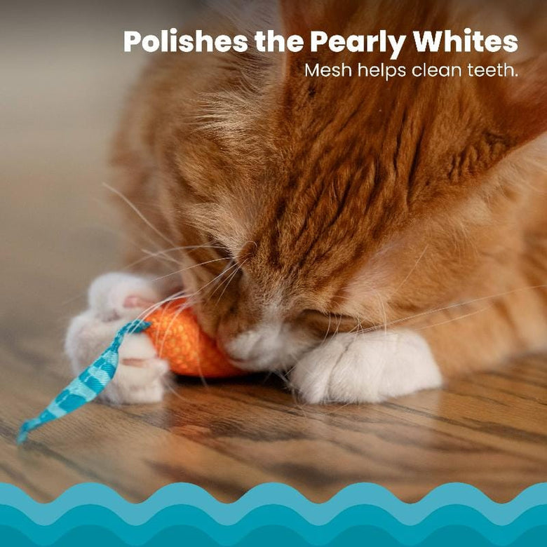 Outward Hound Cat Toys Chew Mice Dental Health Cat Toy - 2pc