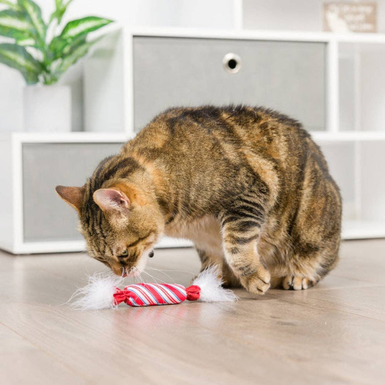 Christmas Holiday Lit Donut & Peppermint Candy Cat Toy Set - 2 Pk