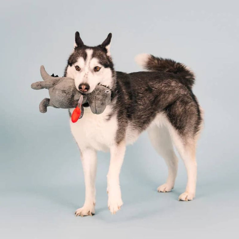 PetShop by Fringe Studio dog toys Rocker Masked Rex Red Guitar Plush Squeak Dog Toy