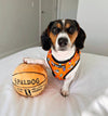 Mina + Pup Harnesses Got Game? Basketball and Sports Orange Adjustable Pet Harness