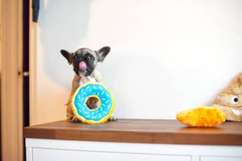Zippypaws dog toys Blueberry Donutz Sprinkles Squeaky Dog Toy - 3 Sizes