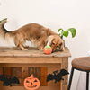 Hugsmart Products Inc dog toys Howloween Night Candy Apple Ball Dog Toy
