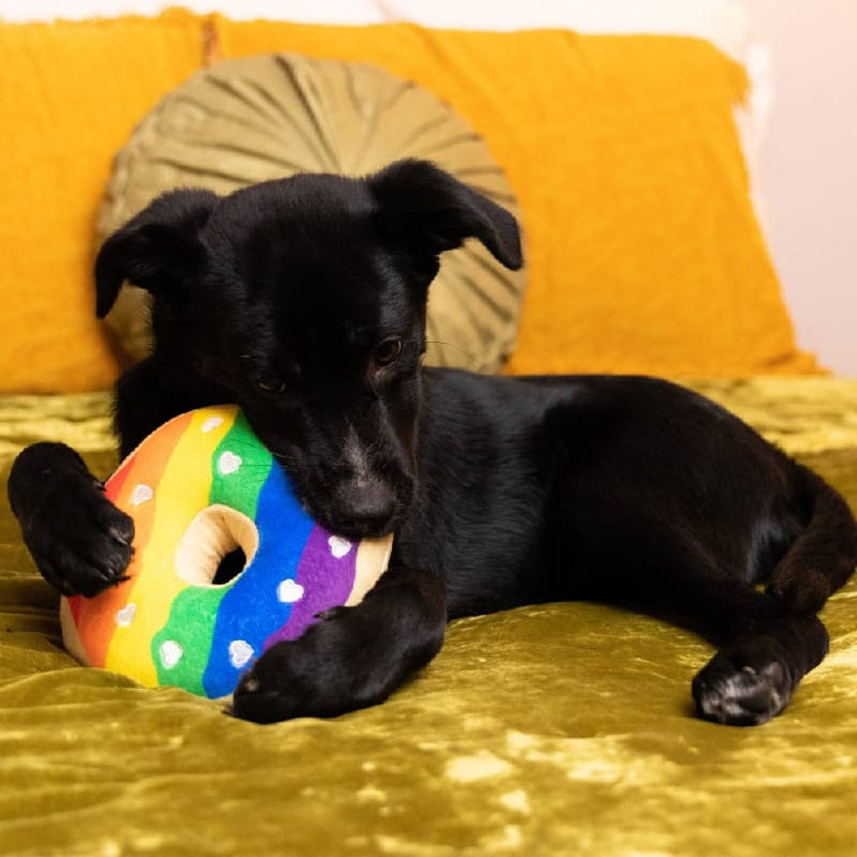 Huxley & Kent dog toys Rainbow Pride Plush Squeaky Donut Dog Toy - 2 Sizes